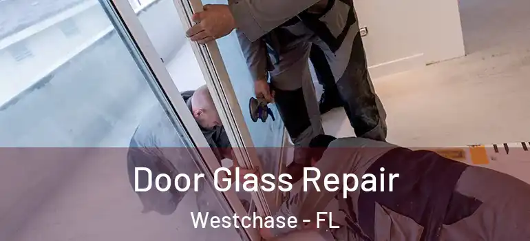  Door Glass Repair Westchase - FL