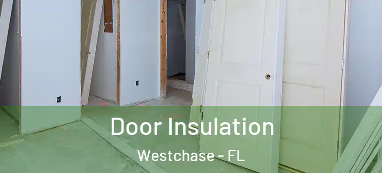  Door Insulation Westchase - FL