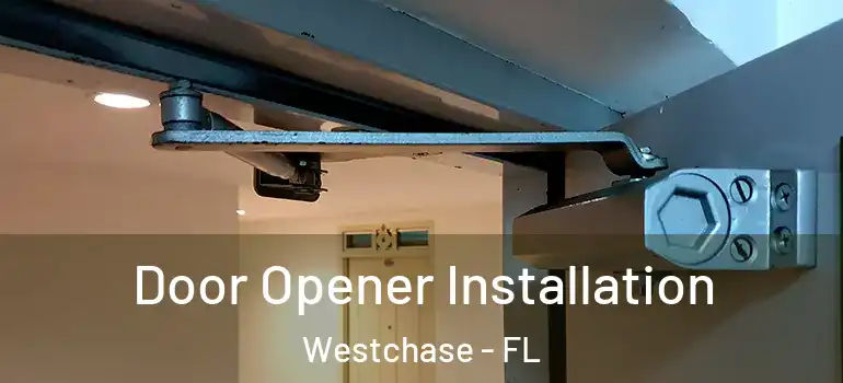  Door Opener Installation Westchase - FL