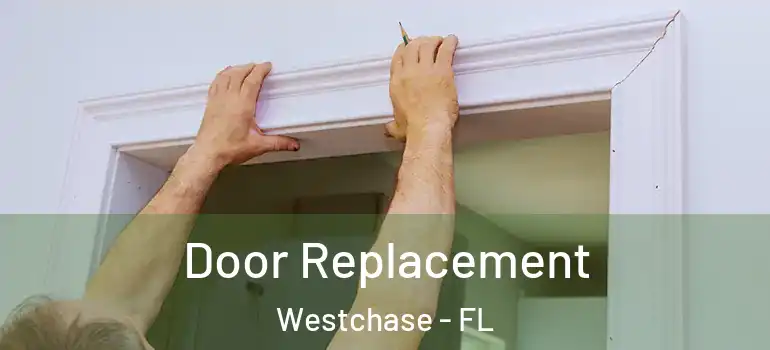  Door Replacement Westchase - FL