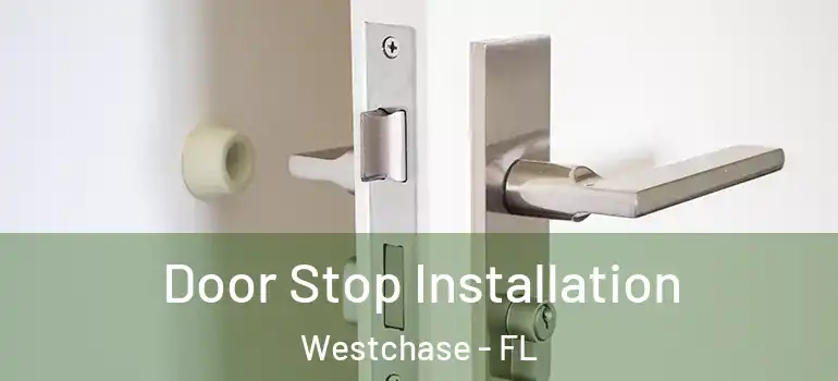  Door Stop Installation Westchase - FL