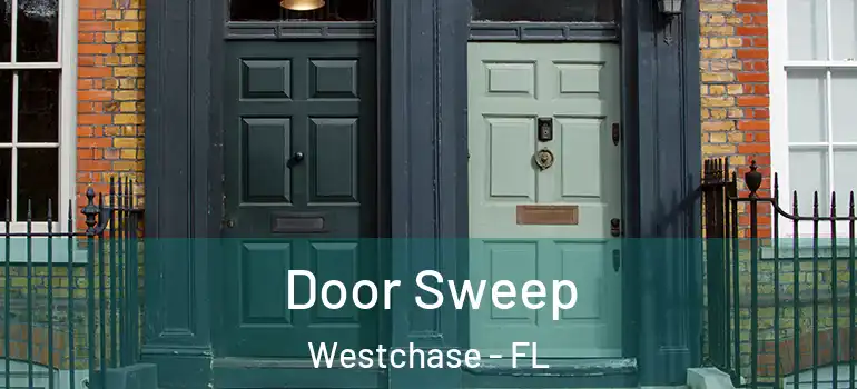  Door Sweep Westchase - FL