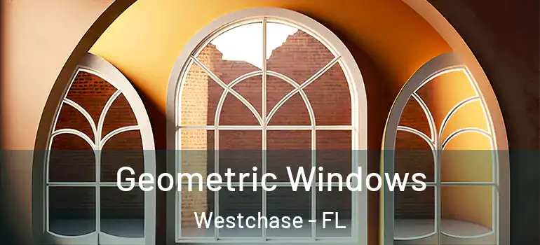  Geometric Windows Westchase - FL