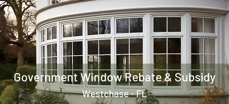  Government Window Rebate & Subsidy Westchase - FL
