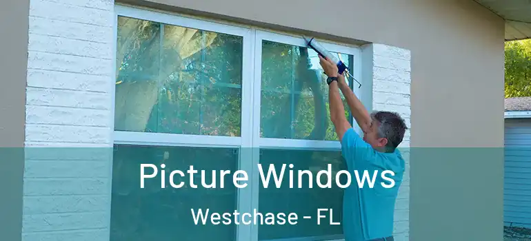  Picture Windows Westchase - FL