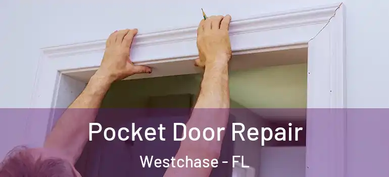  Pocket Door Repair Westchase - FL