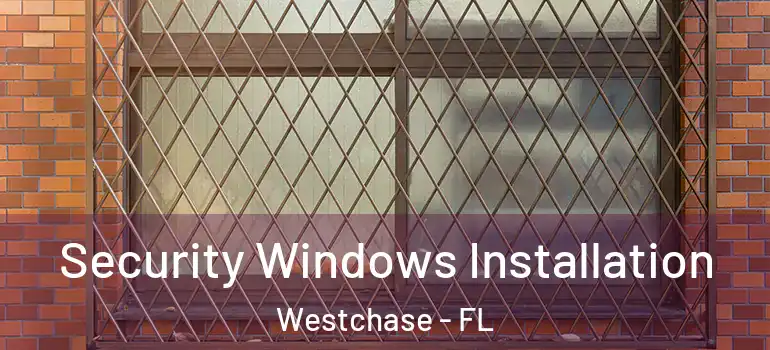  Security Windows Installation Westchase - FL