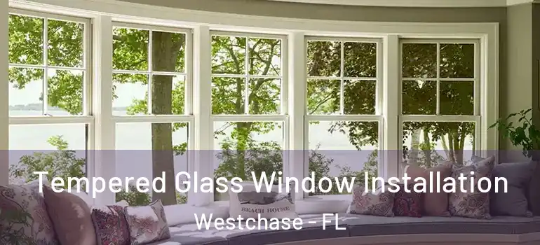  Tempered Glass Window Installation Westchase - FL