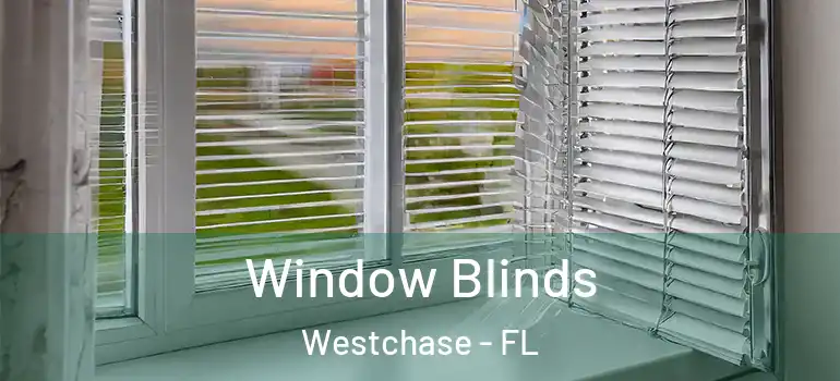  Window Blinds Westchase - FL