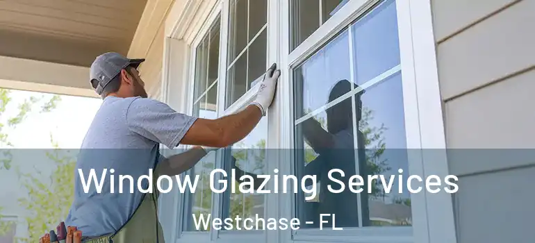  Window Glazing Services Westchase - FL