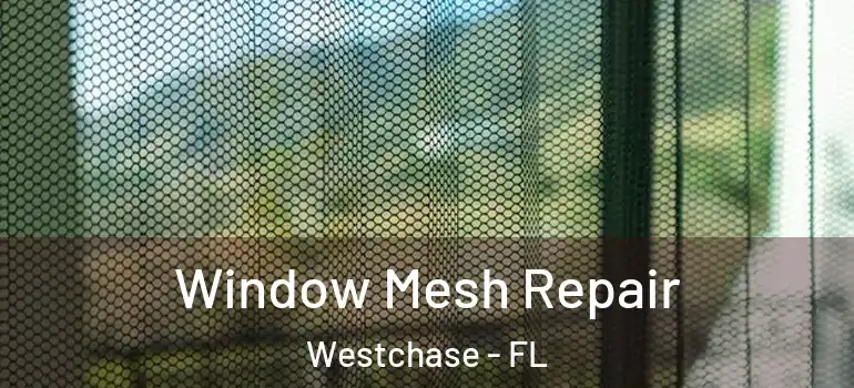  Window Mesh Repair Westchase - FL