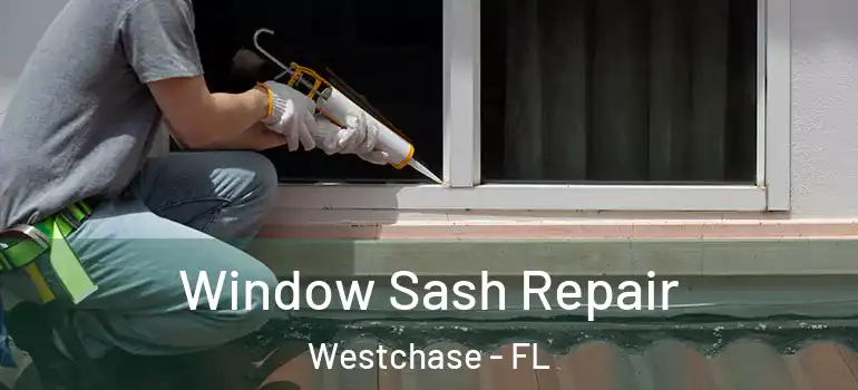  Window Sash Repair Westchase - FL