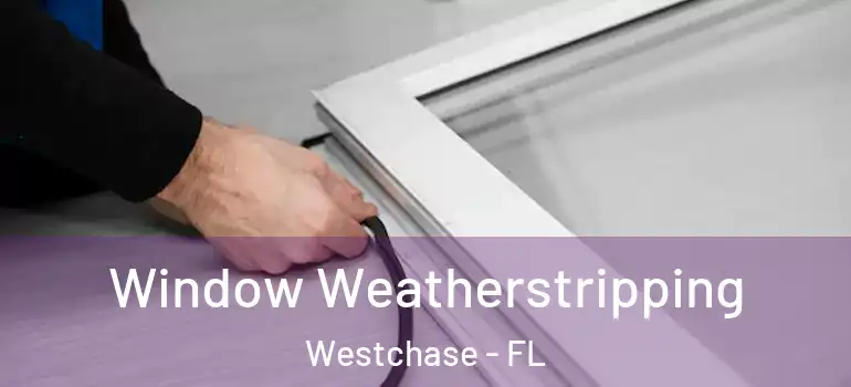  Window Weatherstripping Westchase - FL